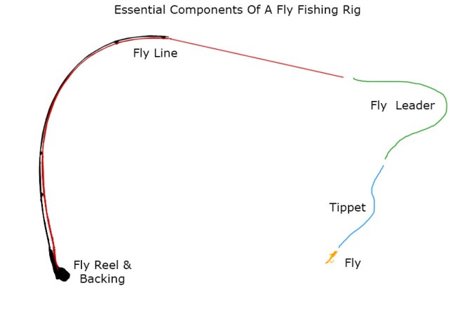 Fly fishing basics – Northumbrian Fly Fishing
